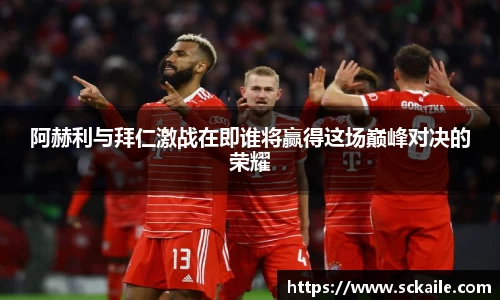 bsports官网入口