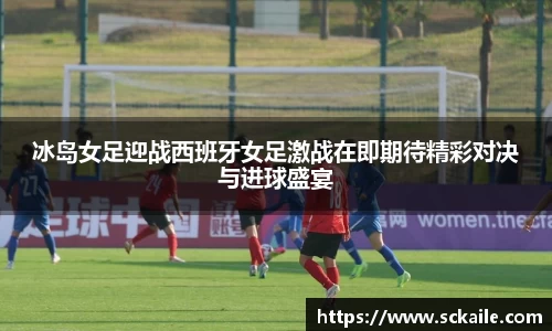 bsports官网入口