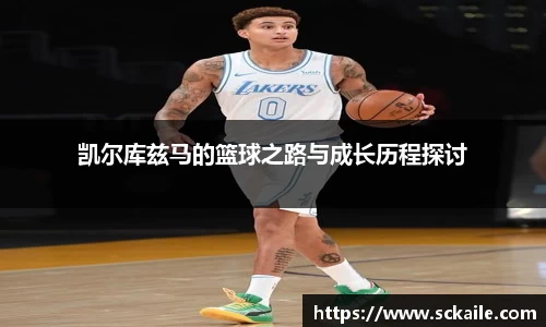 bsports官网入口