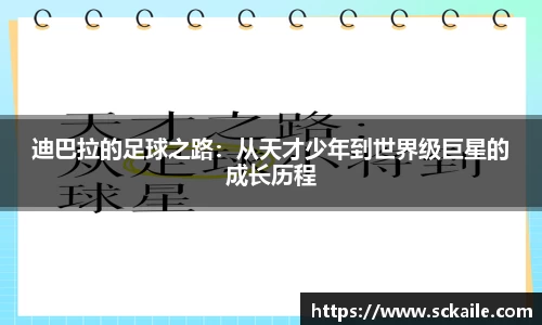 B体育官网