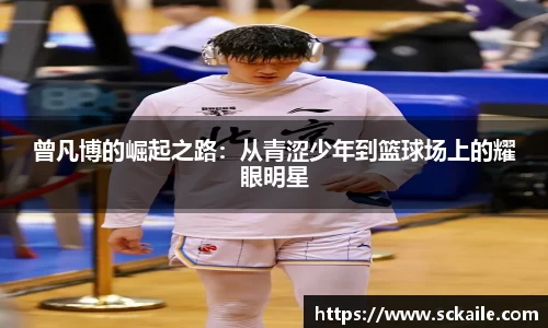 B体育官网