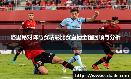 bsports官网入口