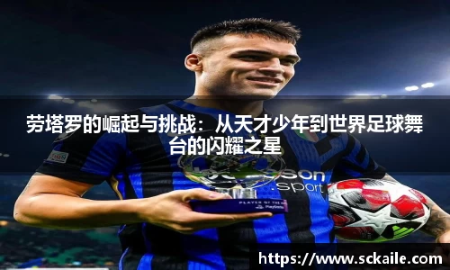 B体育bsports